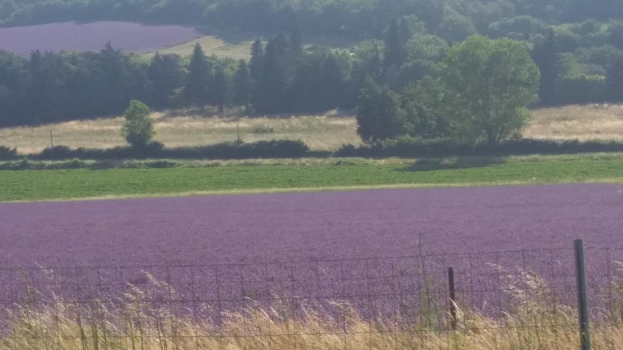 Sublime Vue Mer,Parking,Wifi Fréjus Zewnętrze zdjęcie