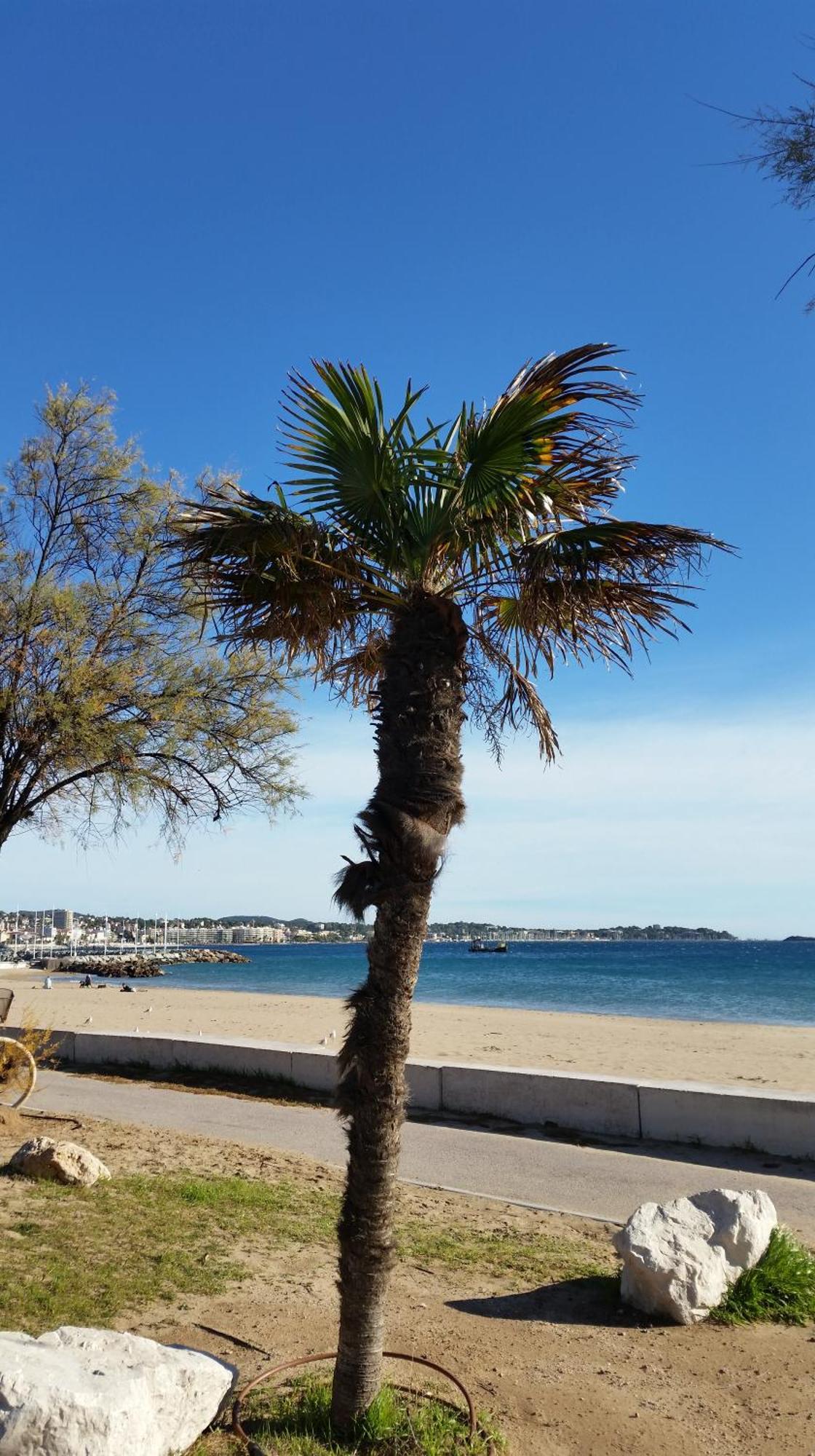Sublime Vue Mer,Parking,Wifi Fréjus Zewnętrze zdjęcie
